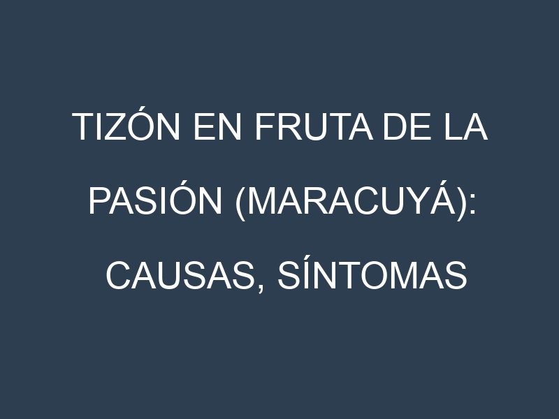 Tizón en Fruta de la pasión (maracuyá): Causas, Síntomas y Estrategias de Control en Cultivos