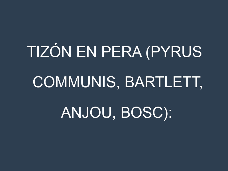 Tizón en Pera (Pyrus communis, Bartlett, Anjou, Bosc): Causas, Síntomas y Estrategias de Control en Cultivos