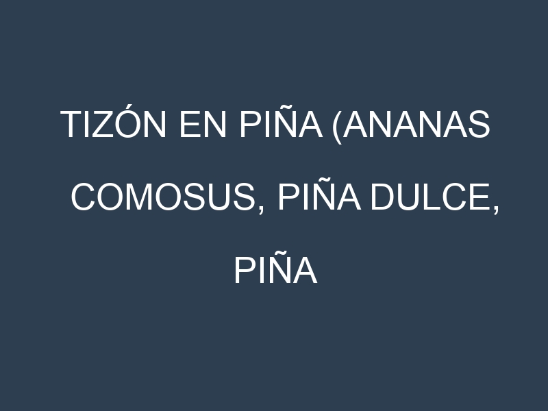 Tizón en Piña (Ananas comosus, Piña dulce, Piña amarilla): Causas, Síntomas y Estrategias de Control en Cultivos