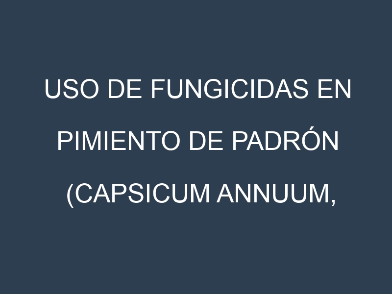 Uso de Fungicidas en Pimiento de Padrón (Capsicum annuum, Herbón, Gallego): Todo lo que Necesitas Saber
