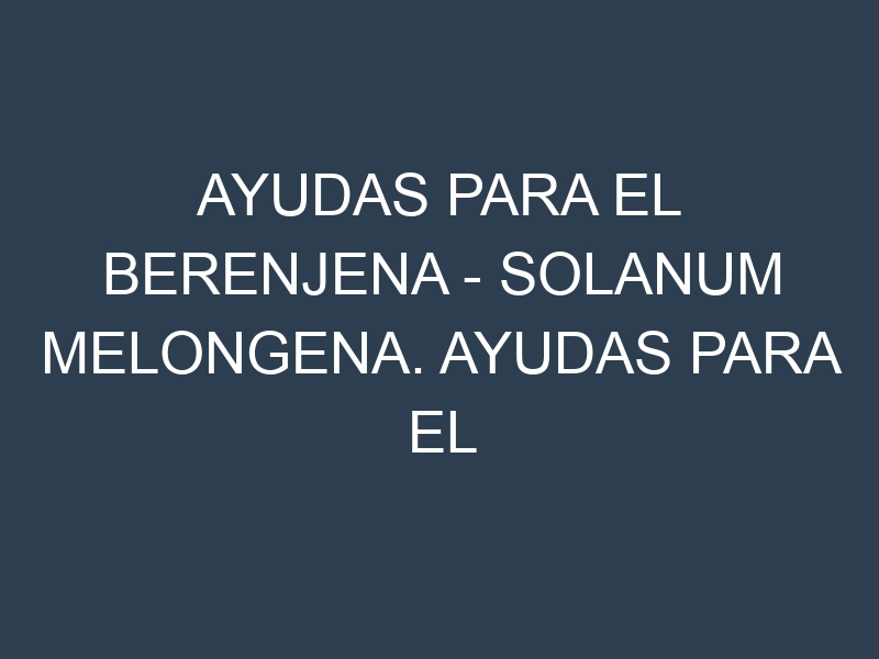 Ayudas para el Berenjena – Solanum melongena. Ayudas para el cultivo. Subvenciones.