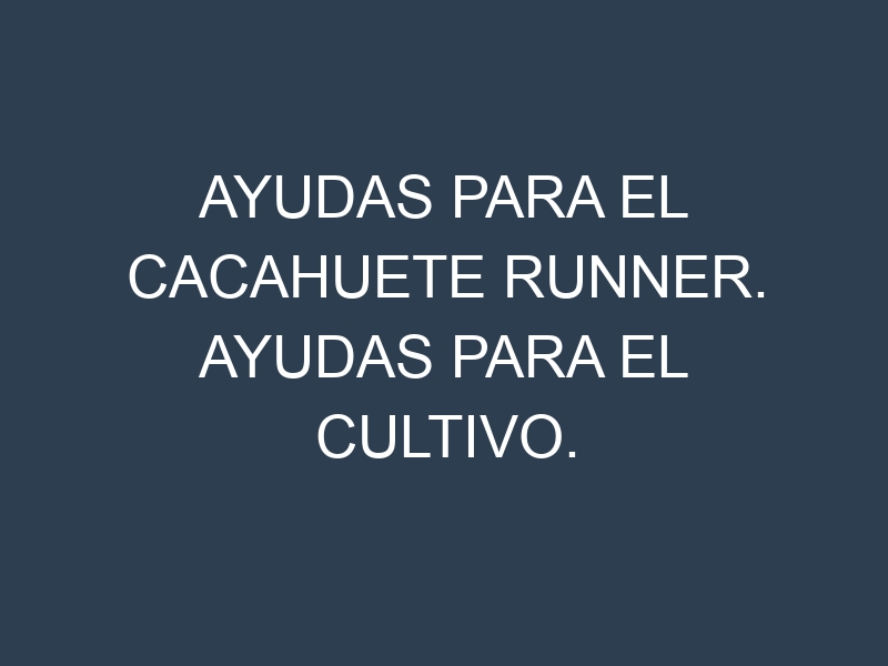 Ayudas para el Cacahuete runner. Ayudas para el cultivo. Subvenciones.