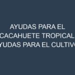 Ayudas para el Cacahuete tropical. Ayudas para el cultivo. Subvenciones.