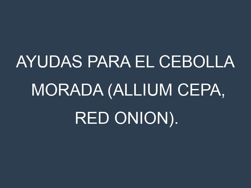 Ayudas para el Cebolla morada (Allium cepa, red onion). Ayudas para el cultivo. Subvenciones.