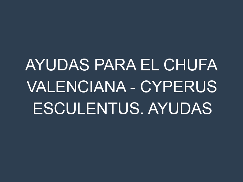 Ayudas para el Chufa Valenciana – Cyperus esculentus. Ayudas para el cultivo. Subvenciones.