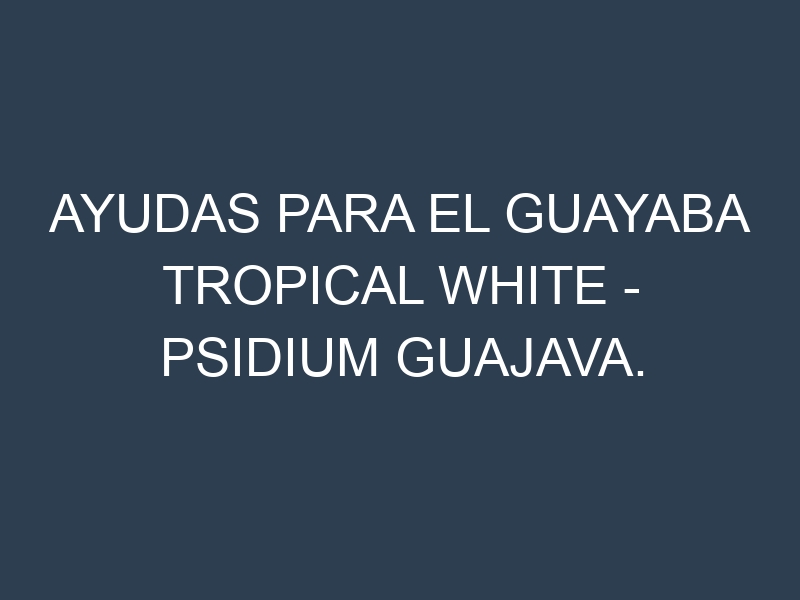 Ayudas para el Guayaba Tropical White – Psidium guajava. Ayudas para el cultivo. Subvenciones.