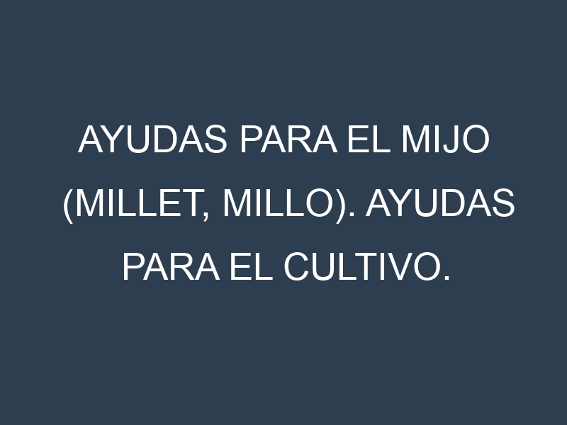 Ayudas para el Mijo (Millet, millo). Ayudas para el cultivo. Subvenciones.