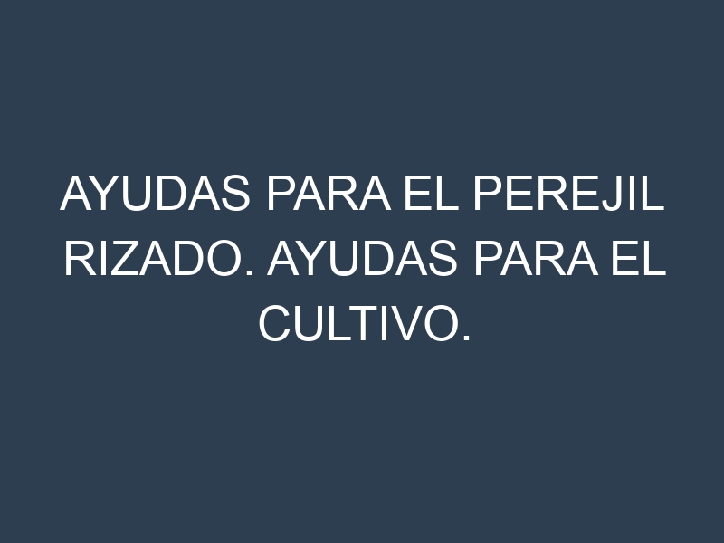 Ayudas para el Perejil rizado. Ayudas para el cultivo. Subvenciones.