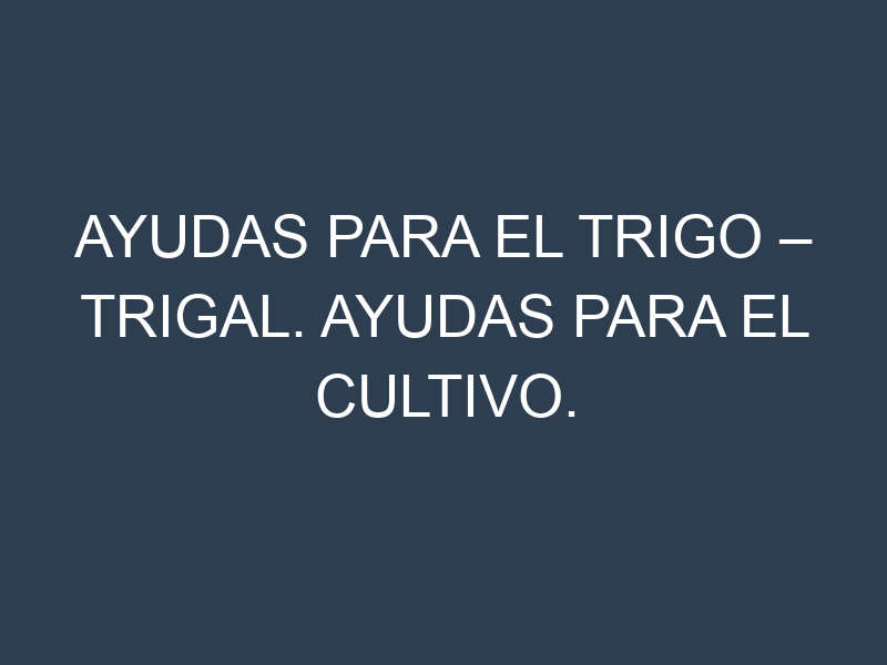 Ayudas para el Trigo – Trigal. Ayudas para el cultivo. Subvenciones.