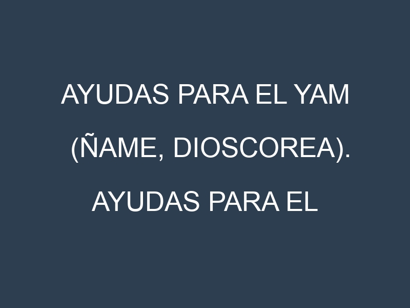 Ayudas para el Yam (Ñame, dioscorea). Ayudas para el cultivo. Subvenciones.