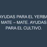 Ayudas para el Yerba mate – Mate. Ayudas para el cultivo. Subvenciones.