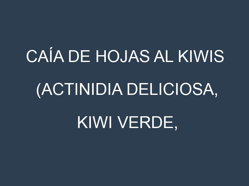 Caía de hojas al Kiwis (Actinidia deliciosa, Kiwi verde, Kiwi dorado)