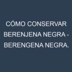 Cómo conservar Berenjena negra – Berengena negra.