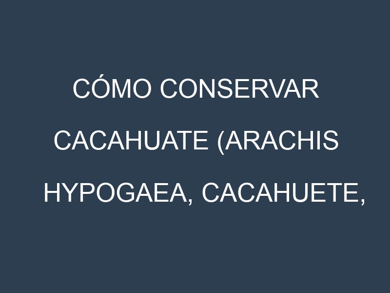 Cómo conservar Cacahuate (Arachis hypogaea, Cacahuete, Maní).