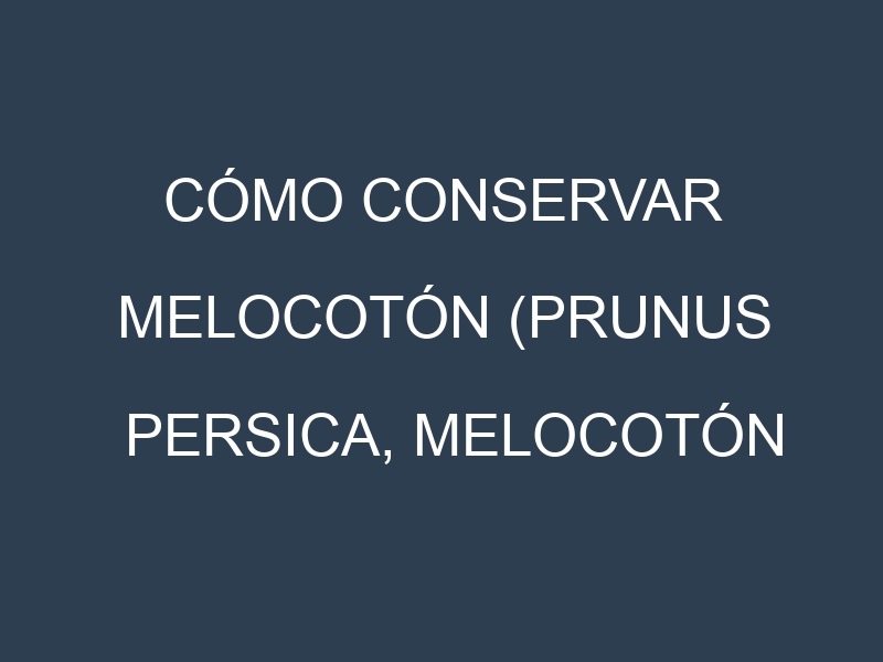 Cómo conservar Melocotón (Prunus persica, Melocotón amarillo, Melocotón de saturn).