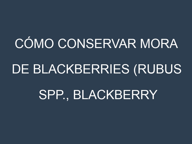 Cómo conservar Mora de blackberries (Rubus spp., Blackberry común, Blackberry dulce).