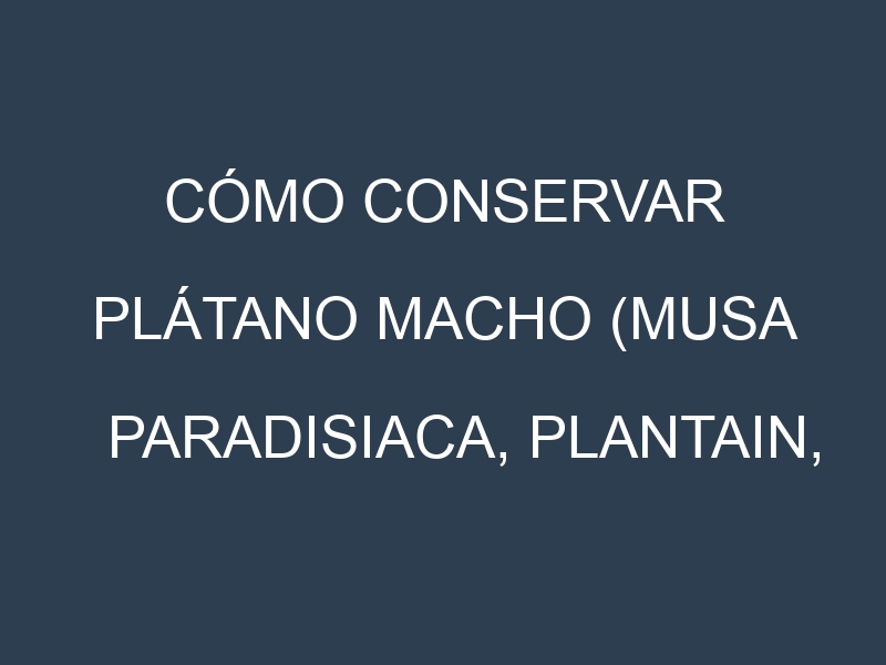 Cómo conservar Plátano macho (Musa paradisiaca, Plantain, Dwarf Cavendish).