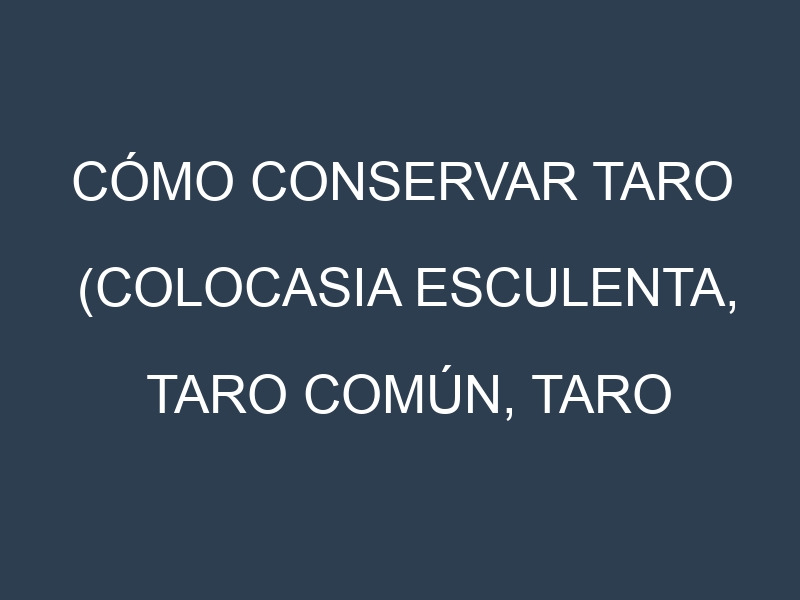 Cómo conservar Taro (Colocasia esculenta, Taro común, Taro morado).