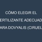 Cómo Elegir el Fertilizante Adecuado para Dovyalis (ciruela de Kei)
