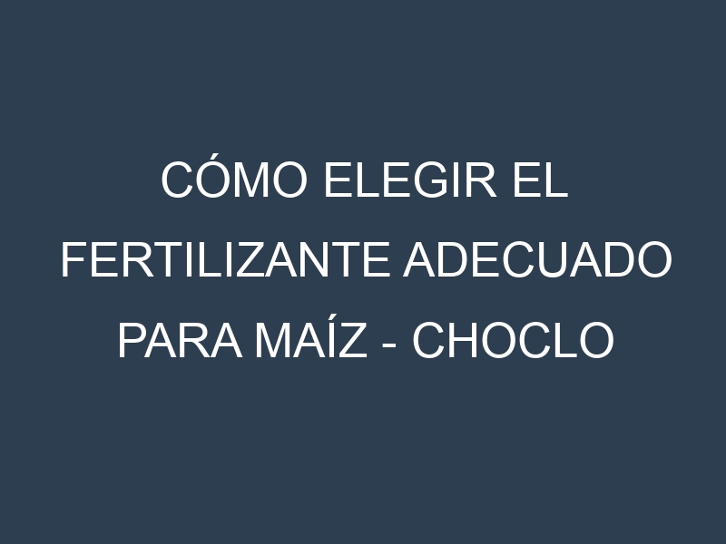 Cómo Elegir el Fertilizante Adecuado para Maíz – Choclo