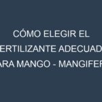 Cómo Elegir el Fertilizante Adecuado para Mango – Mangifera