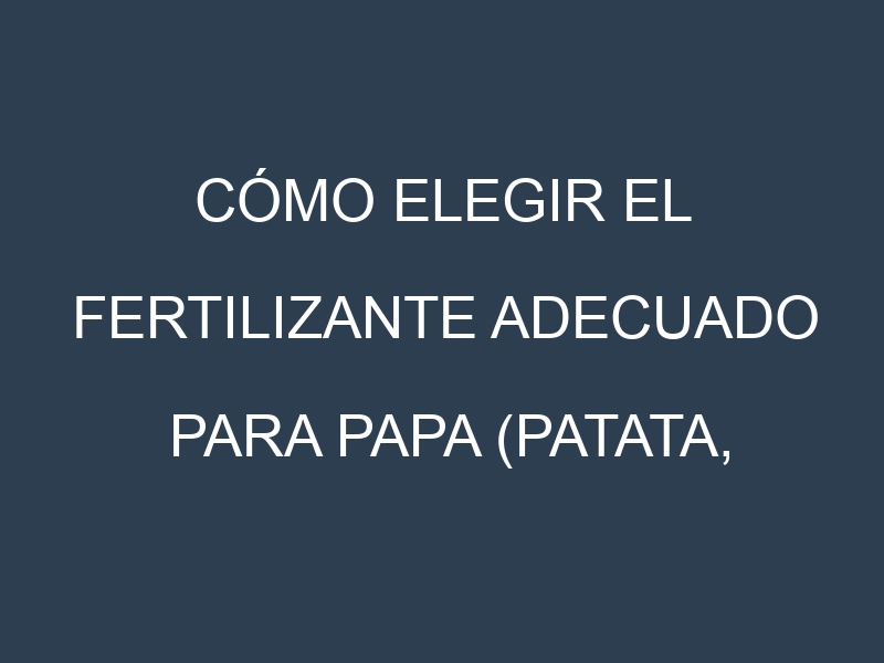 Cómo Elegir el Fertilizante Adecuado para Papa (Patata, batata en algunas zonas de Argentina)