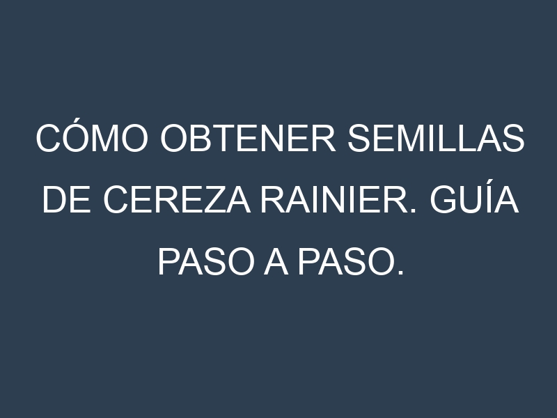Cómo obtener semillas de Cereza Rainier. Guía paso a paso. Técnicas sencillas. Conservación.