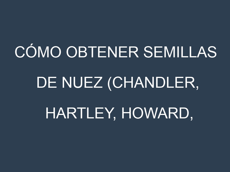 Cómo obtener semillas de Nuez (Chandler, Hartley, Howard, Franquette, Serr). Guía paso a paso. Técnicas sencillas. Conservación.