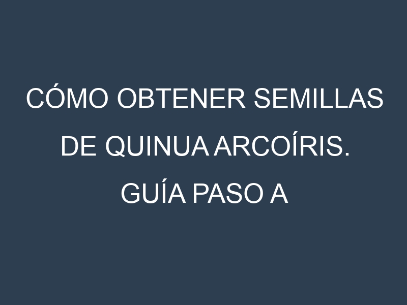 Cómo obtener semillas de Quinua arcoíris. Guía paso a paso. Técnicas sencillas. Conservación.