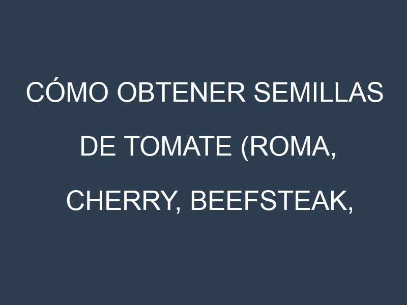 Cómo obtener semillas de Tomate (Roma, Cherry, Beefsteak, San Marzano, Heirloom). Guía paso a paso. Técnicas sencillas. Conservación.