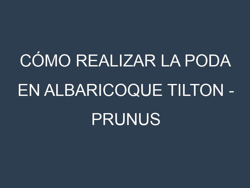Cómo Realizar la Poda en Albaricoque Tilton – Prunus armeniaca. Técnicas y Poda de formación.