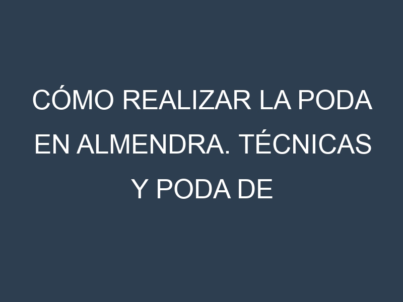 Cómo Realizar la Poda en Almendra. Técnicas y Poda de formación.