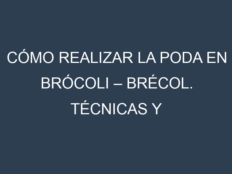 Cómo Realizar la Poda en Brócoli – Brécol. Técnicas y Poda de formación.