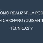 Cómo Realizar la Poda en Chícharo (guisante). Técnicas y Poda de formación.