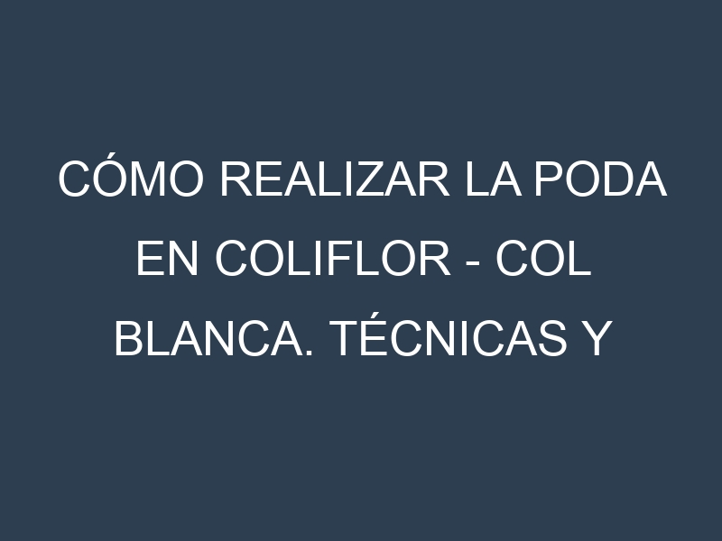 Cómo Realizar la Poda en Coliflor – Col blanca. Técnicas y Poda de formación.