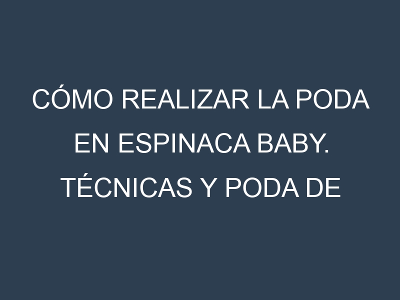 Cómo Realizar la Poda en Espinaca baby. Técnicas y Poda de formación.