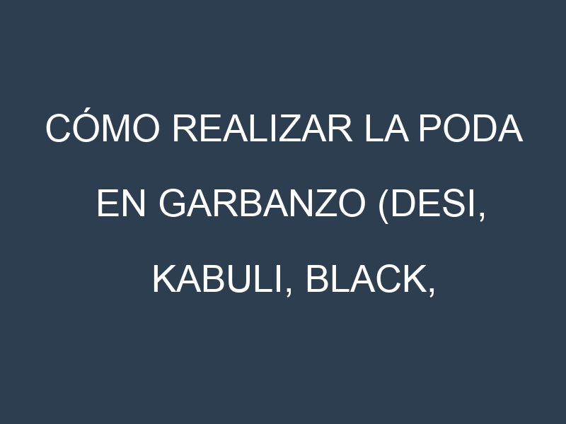 Cómo Realizar la Poda en Garbanzo (Desi, Kabuli, Black, Green, Gulabi). Técnicas y Poda de formación.
