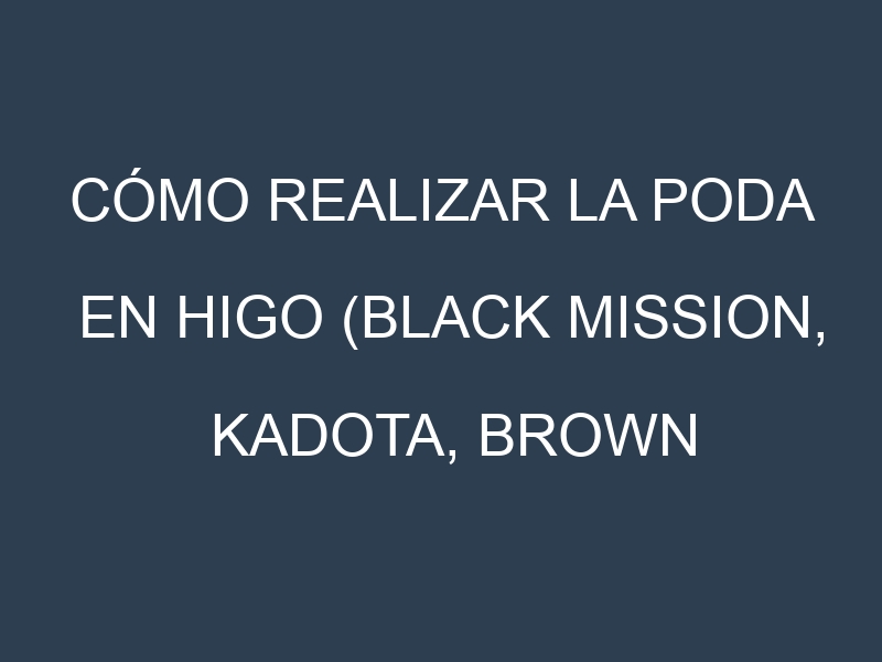 Cómo Realizar la Poda en Higo (Black Mission, Kadota, Brown Turkey, Adriatic, Celeste). Técnicas y Poda de formación.