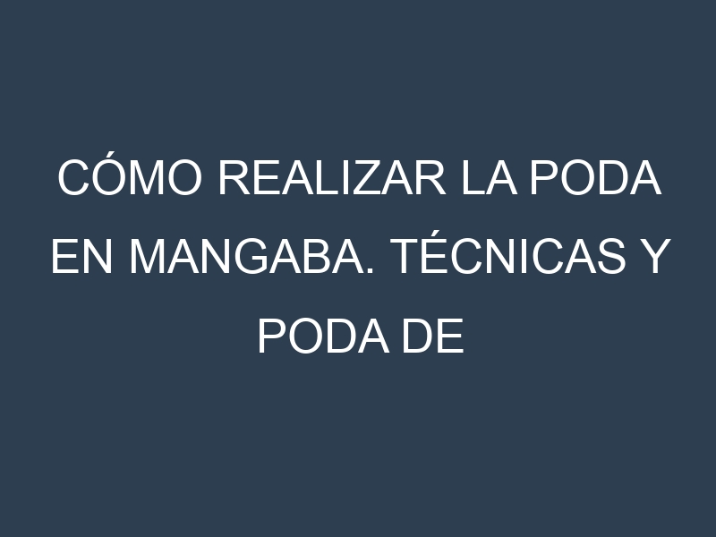 Cómo Realizar la Poda en Mangaba. Técnicas y Poda de formación.