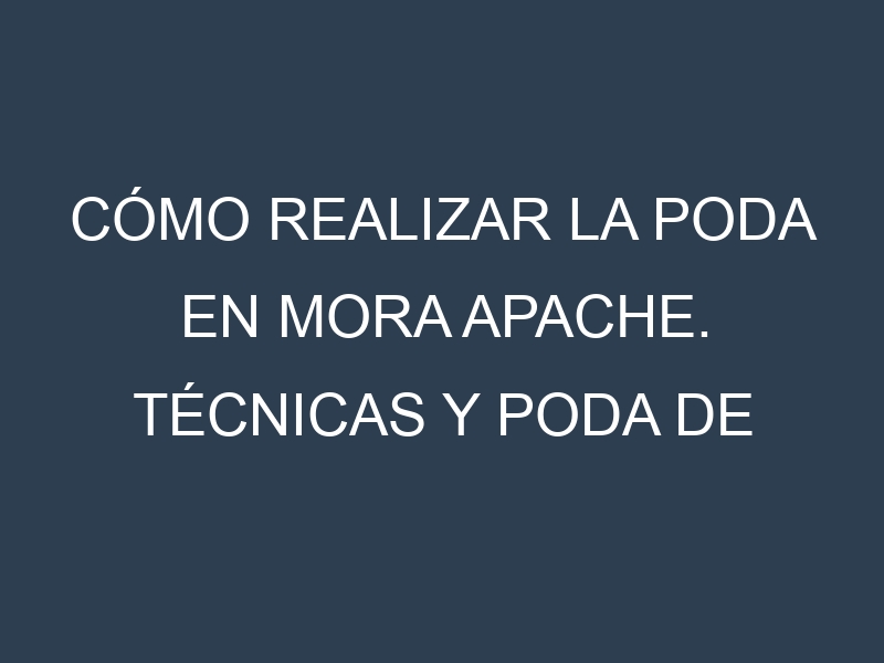 Cómo Realizar la Poda en Mora Apache. Técnicas y Poda de formación.