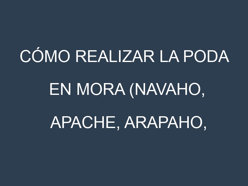 Cómo Realizar la Poda en Mora (Navaho, Apache, Arapaho, Ouachita, Triple Crown). Técnicas y Poda de formación.
