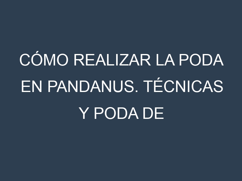 Cómo Realizar la Poda en Pandanus. Técnicas y Poda de formación.