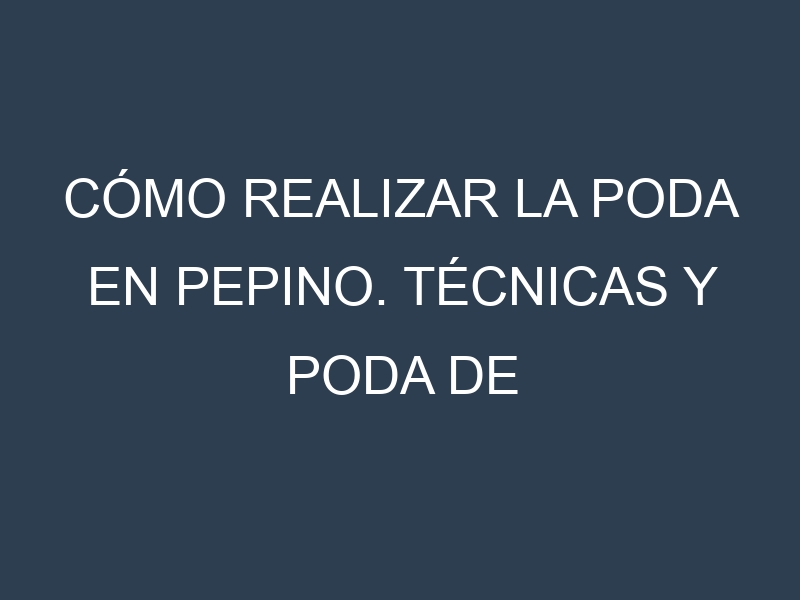 Cómo Realizar la Poda en Pepino. Técnicas y Poda de formación.