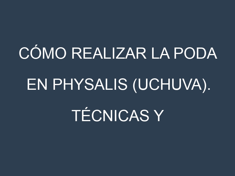 Cómo Realizar la Poda en Physalis (uchuva). Técnicas y Poda de formación.