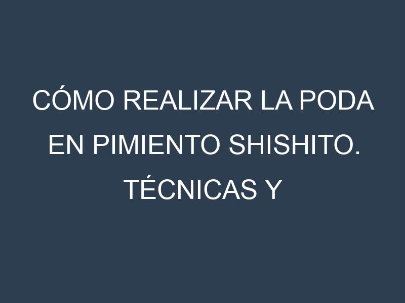 Cómo Realizar la Poda en Pimiento shishito. Técnicas y Poda de formación.