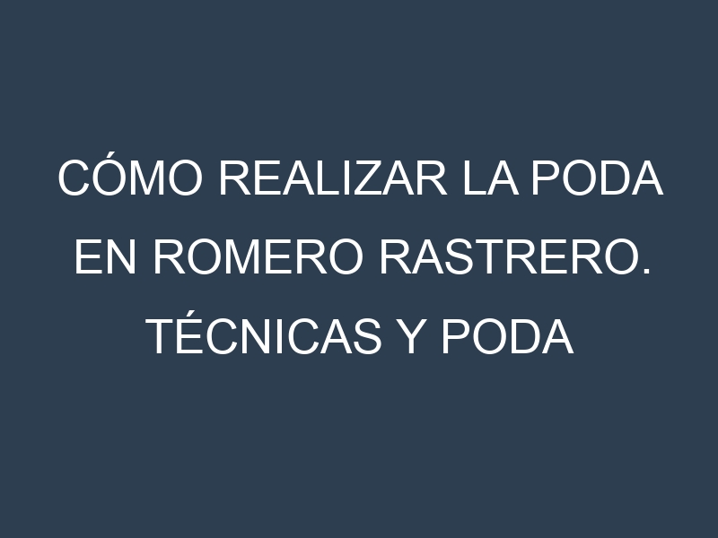Cómo Realizar la Poda en Romero rastrero. Técnicas y Poda de formación.