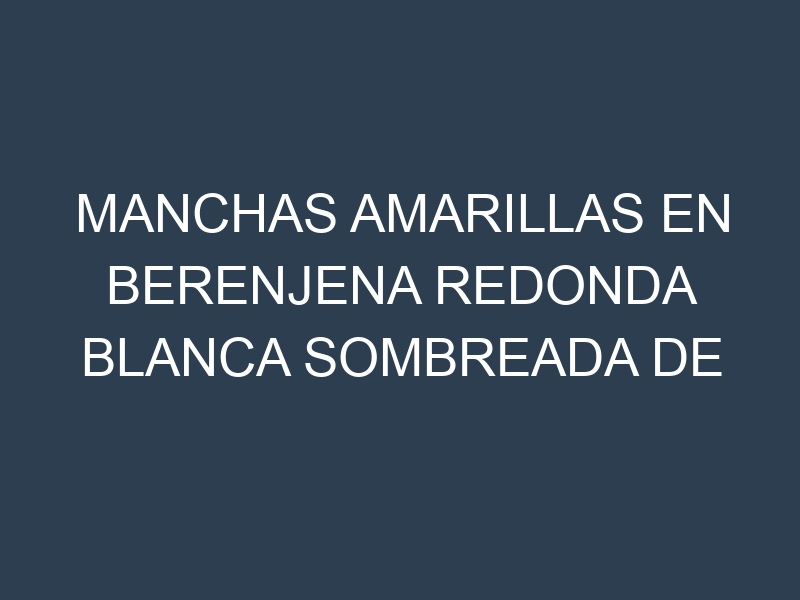 Manchas Amarillas en Berenjena Redonda Blanca Sombreada De Rosa