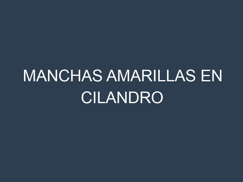 Manchas Amarillas en Cilandro