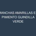 Manchas Amarillas en Pimiento Guindilla Verde