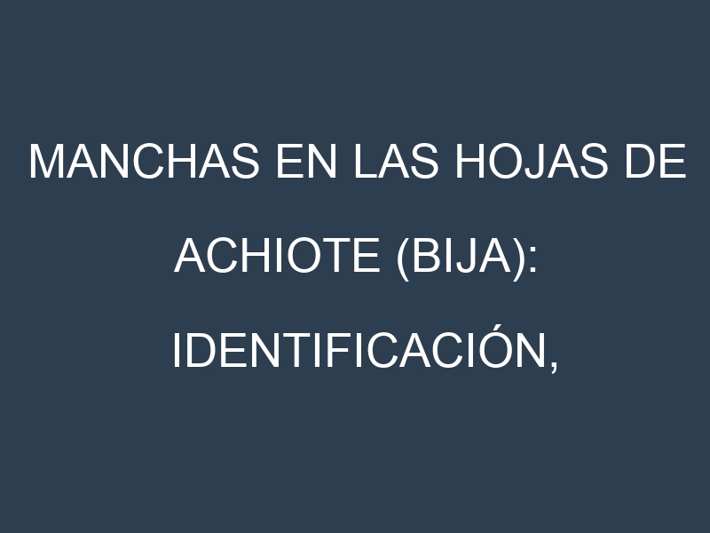 Manchas en las hojas de Achiote (bija): Identificación, Causas y Estrategias de Control Efectivo